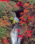 駒止の滝（那須北温泉）１０月中旬〜１１月上旬